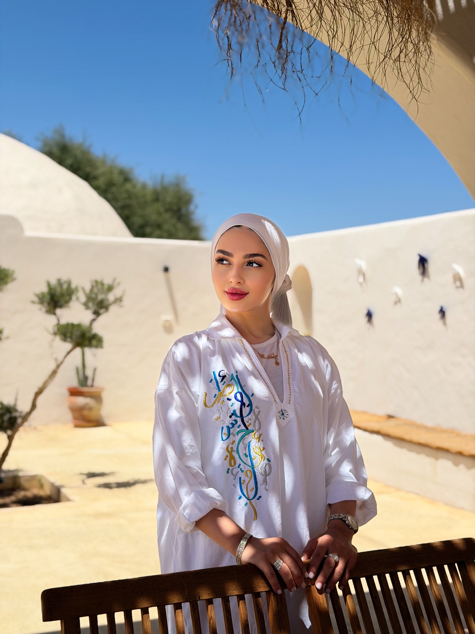 من ألبوم ملكة العامري